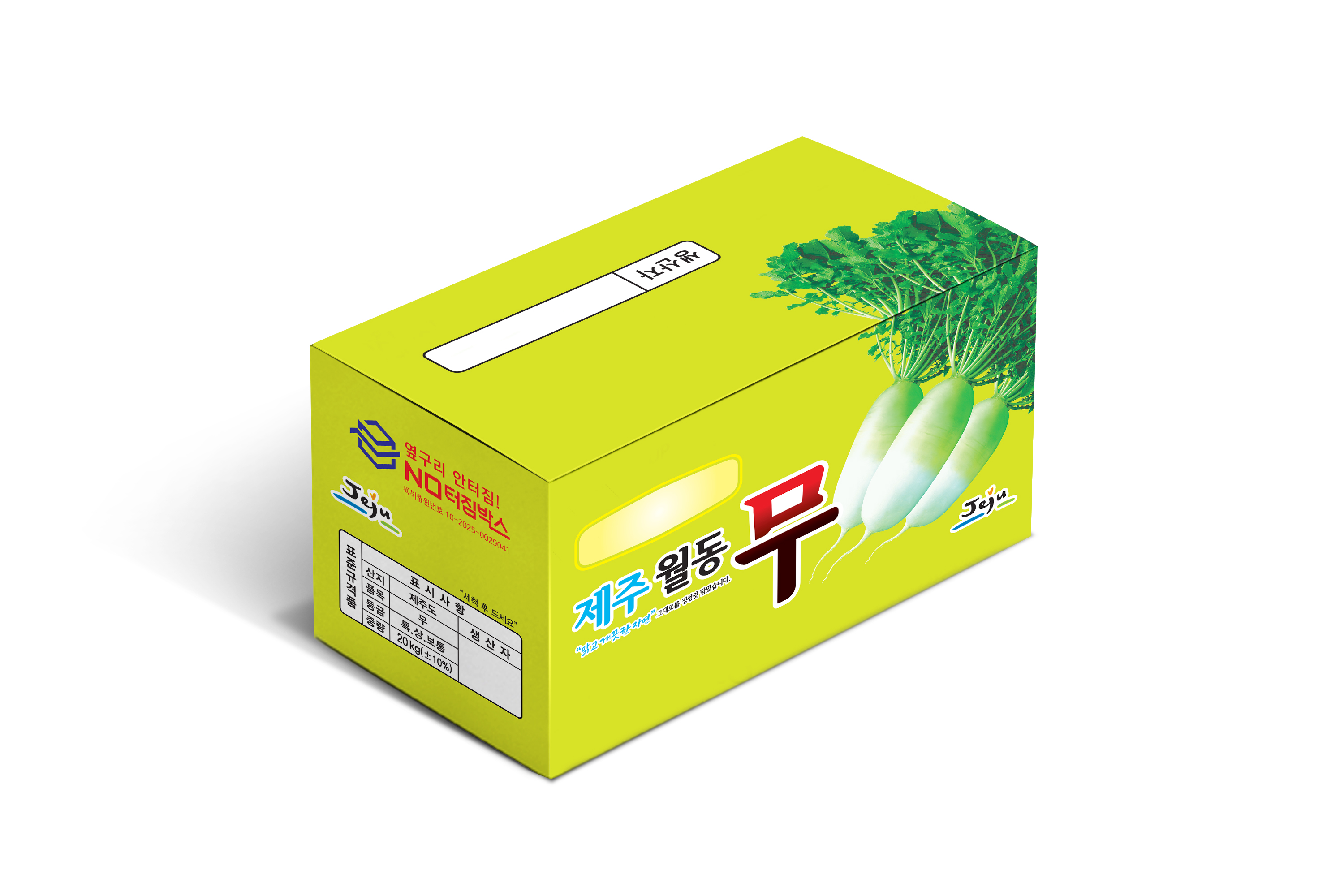 컬러 제주월동무 박스